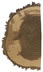 Black Walnut end-grain